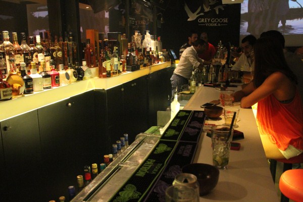 Koi on Saturday Night 